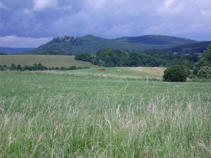 Rhoen-Radmarathon Nichtraucher 1454
